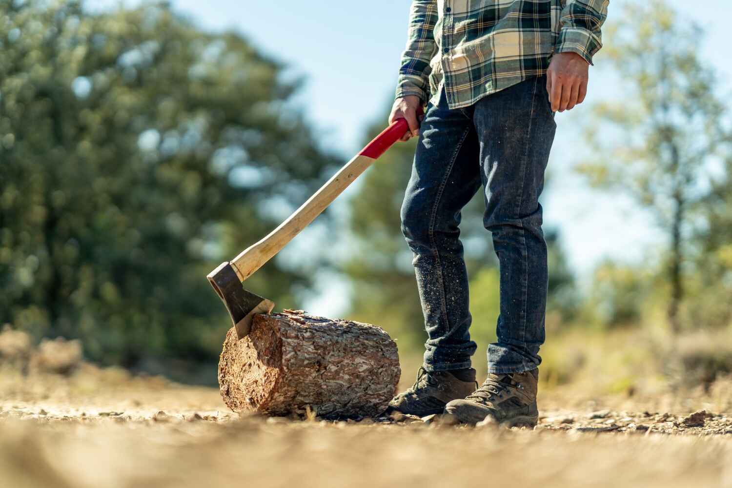 Best Dead Tree Removal  in Spring Grove, MN